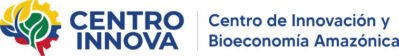 logo centro innova