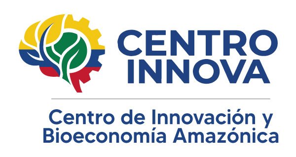 diseño marca centro innova