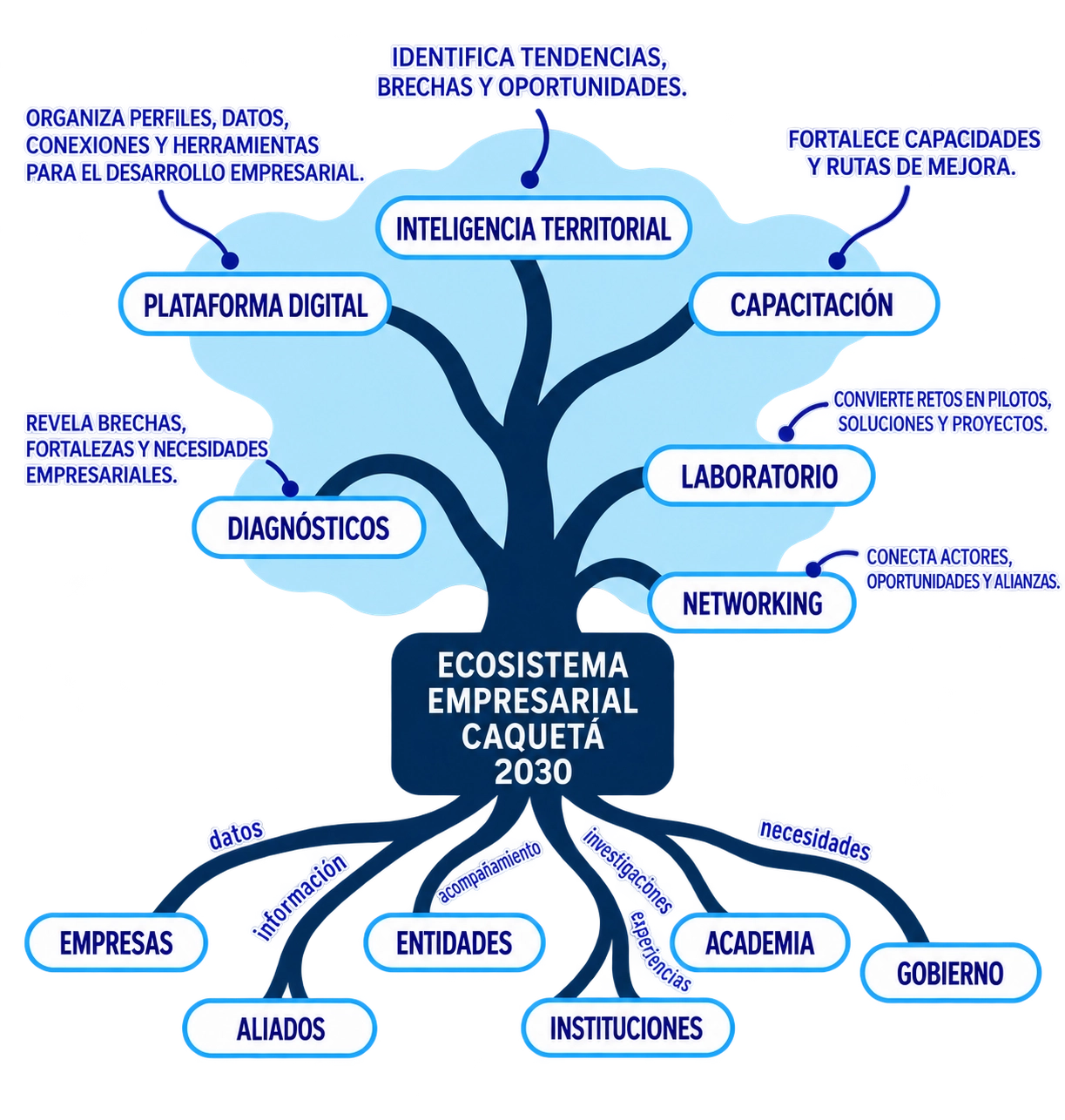 Árbol del Ecosistema Empresarial Caquetá 2030